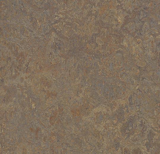 342635 cork tree