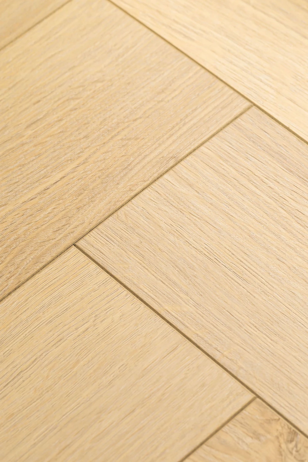 Дуб Ойкос | Oicos oak 1F434