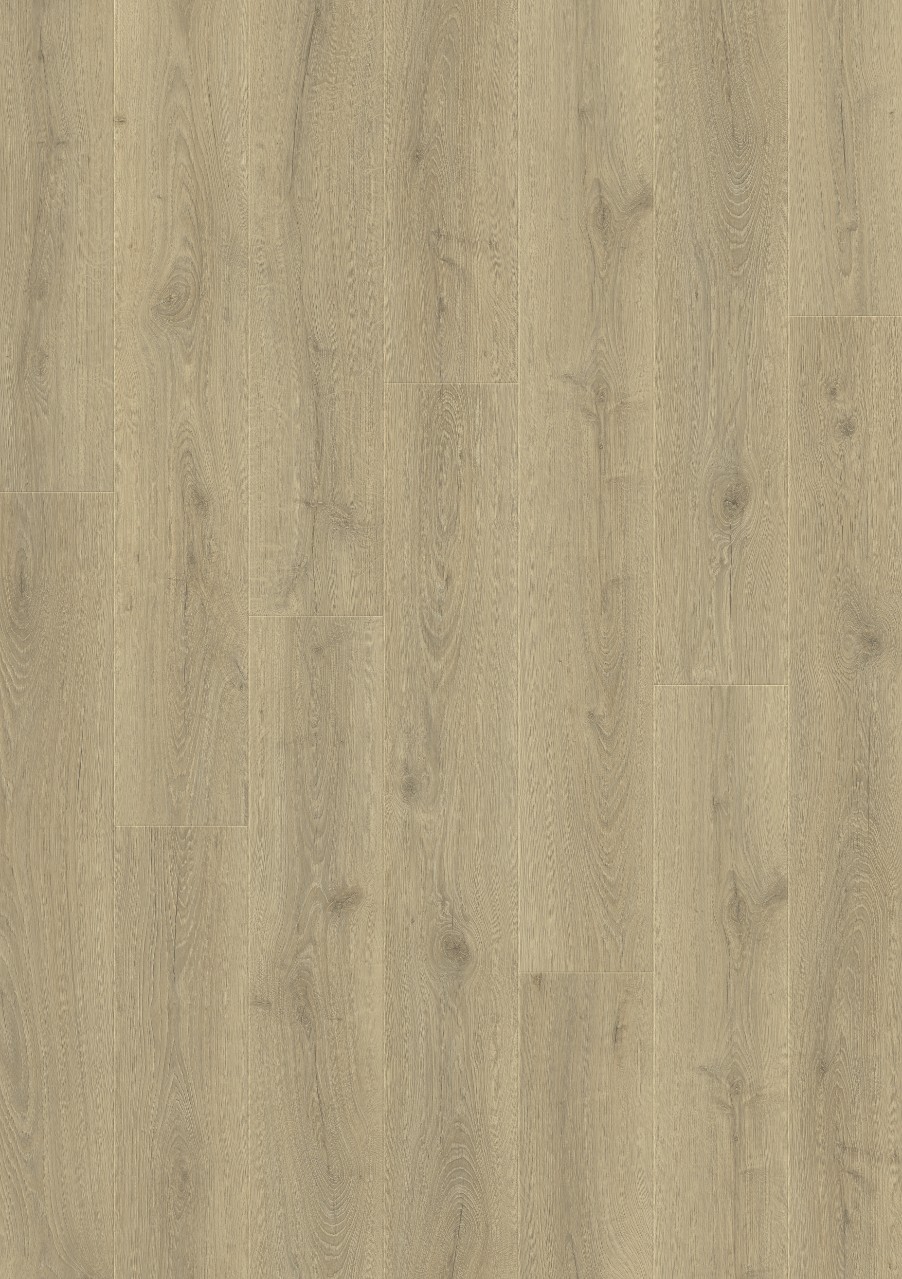 ДУБ CИТИ L1251-03868