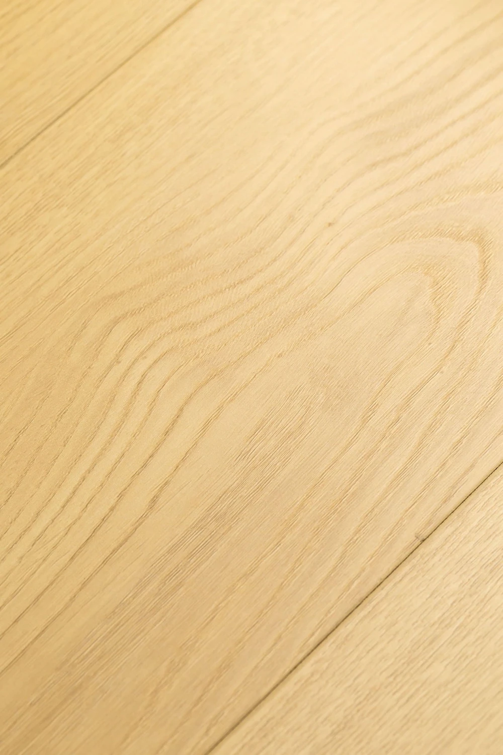 Дуб Лояль | Loyal oak 1F403