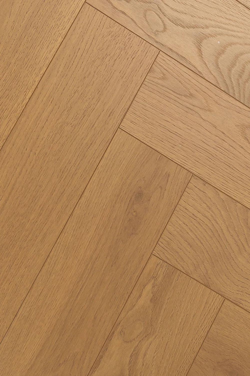 Дуб Джусто | Justo oak 1F339