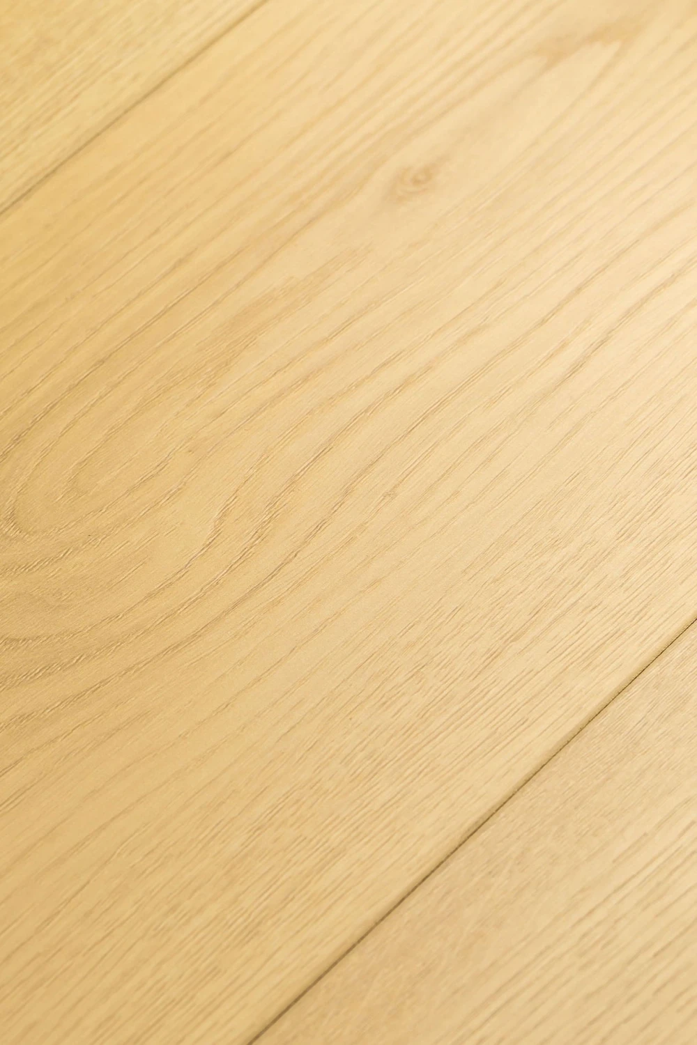 Дуб Лояль | Loyal oak 1F403