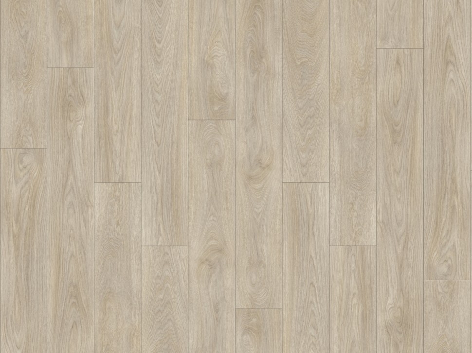 Laurel Oak 51222