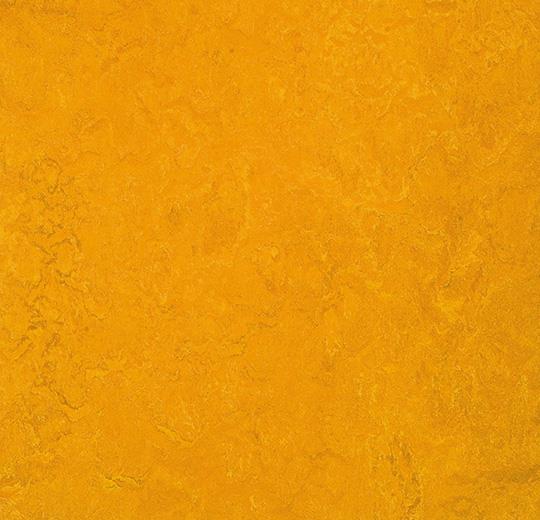 312535 golden sunset