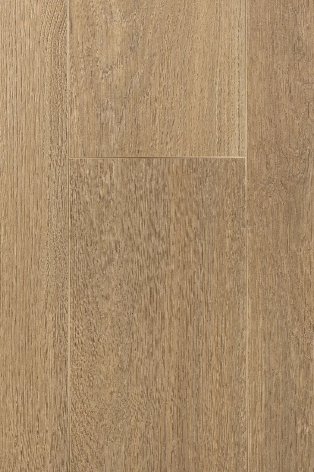 Дуб Констанция | Constanzo oak 1F319