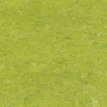 113 Lime Green