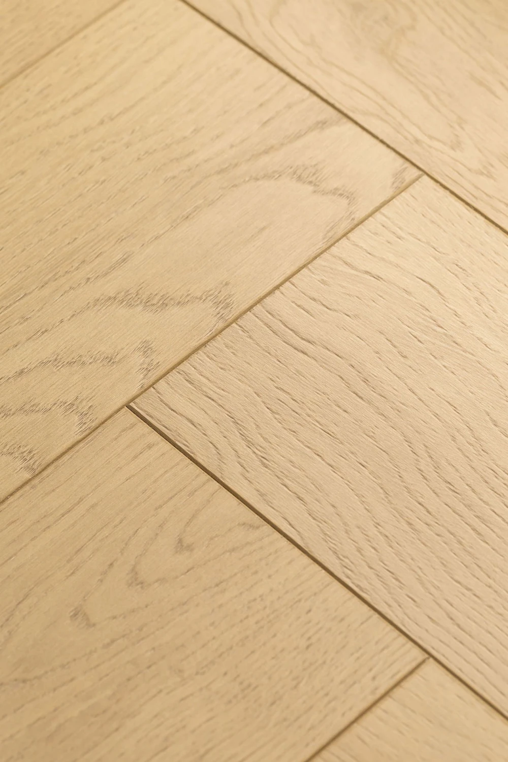 Дуб Файдес | Fides oak 1F336