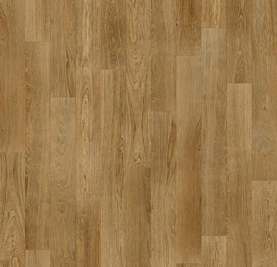 010036 American oak *