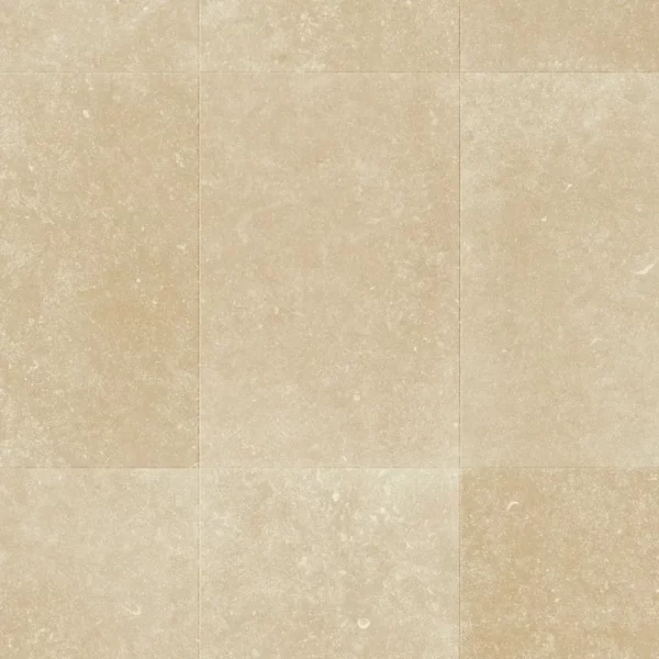 КРЕМОВЫЙ РАКУШЕЧНИК L1256-05486