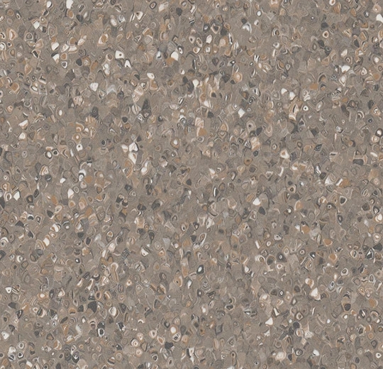 51081 multi chocolate