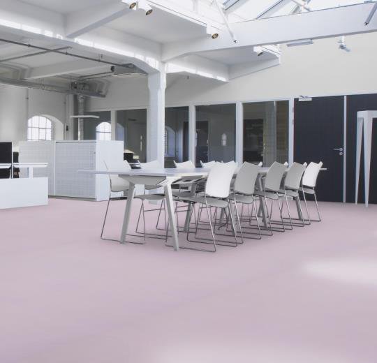 336335 lilac