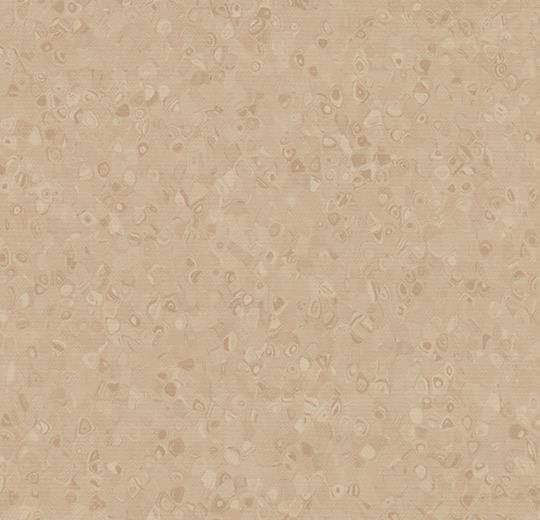 50024 stone