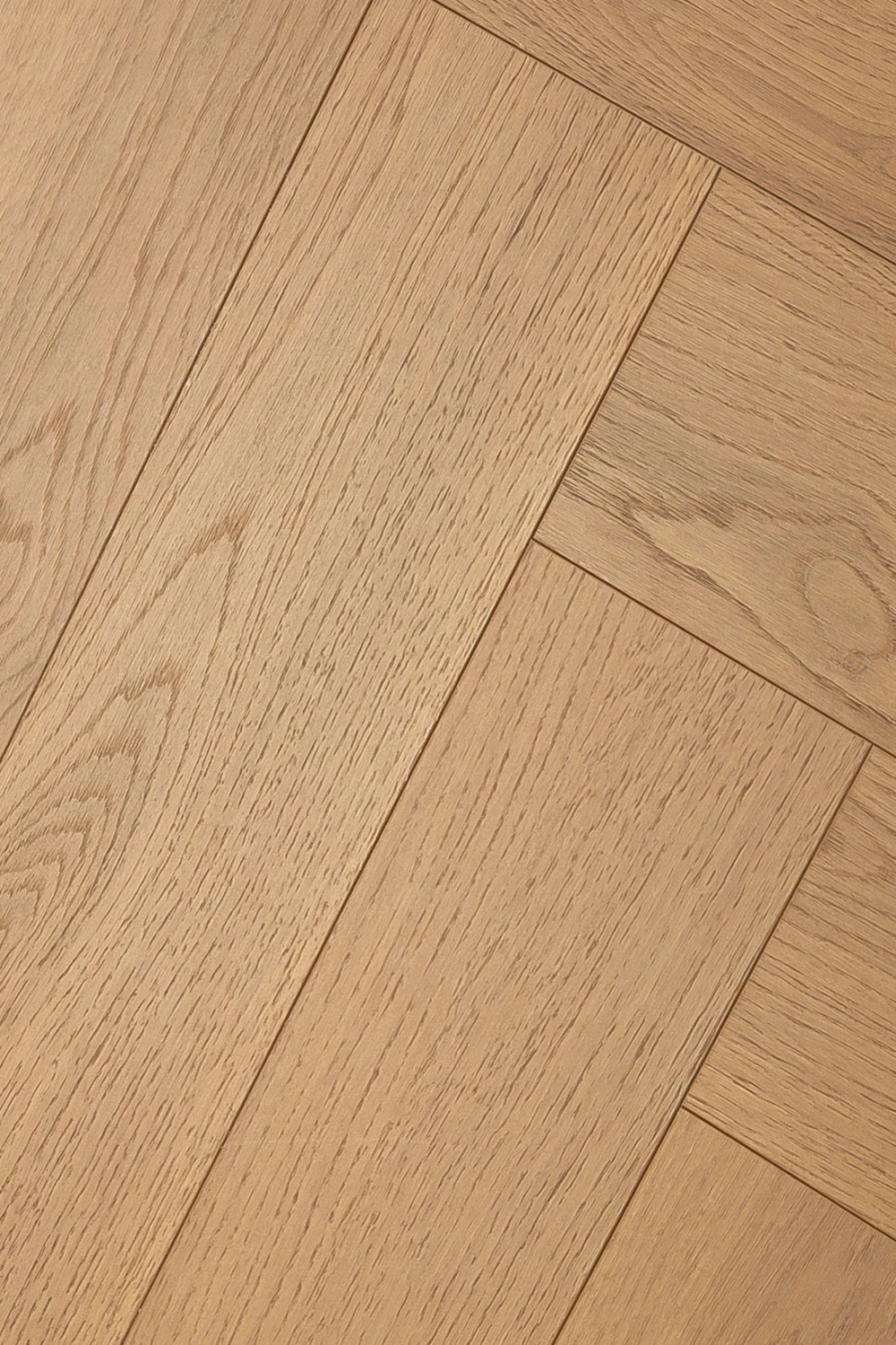 Дуб Джусто | Justo oak 1F339