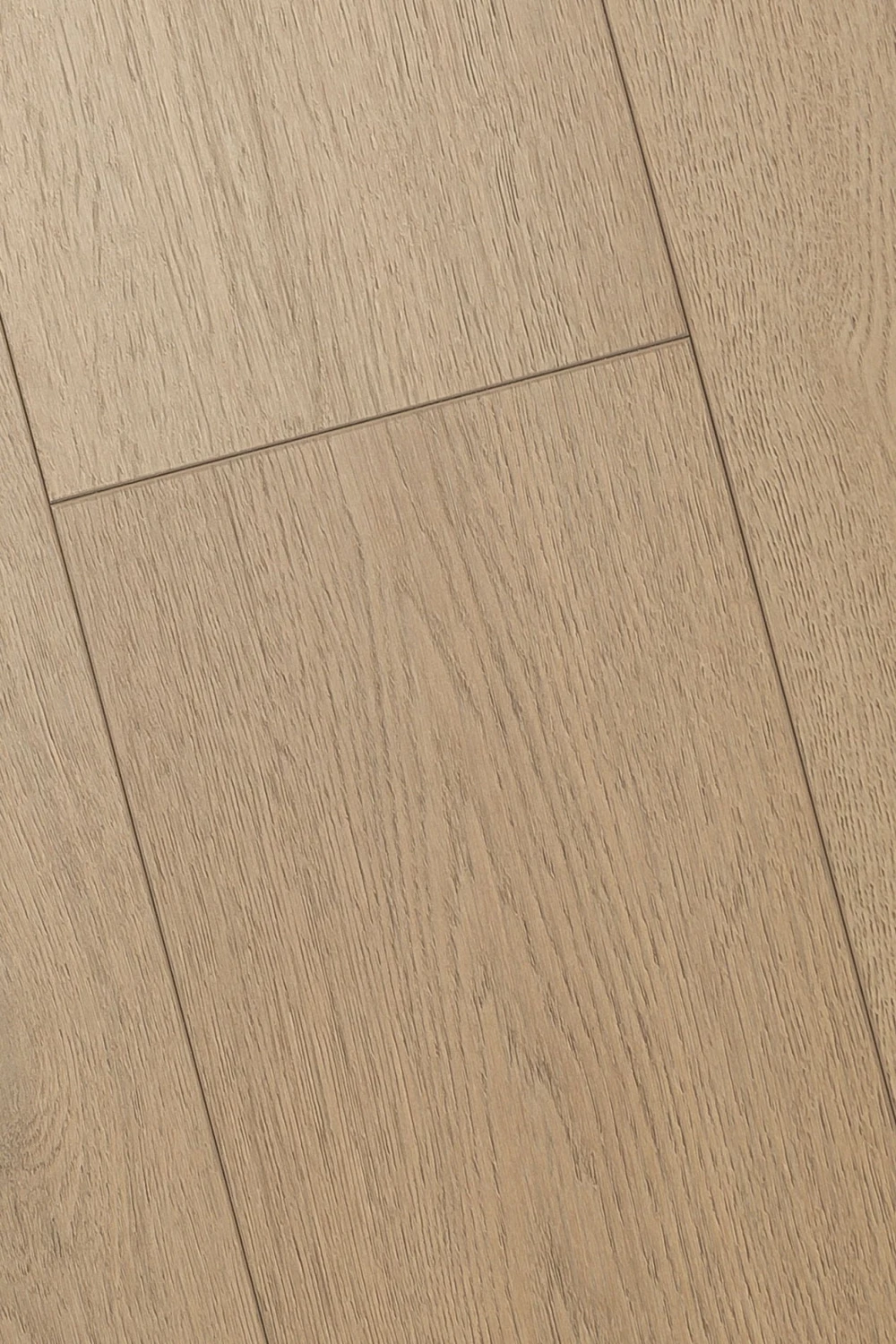 Дуб Ютика | Utica oak 1F428