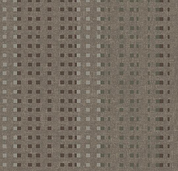 580026 Trace Camel