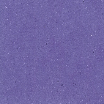 131-122 melrose violet