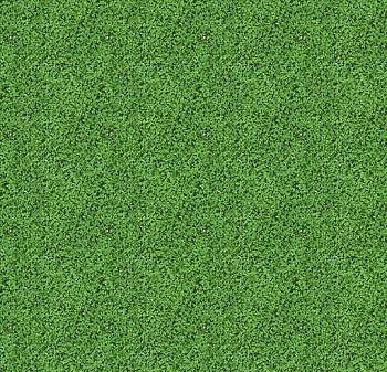 000430 shamrock