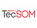TecSom