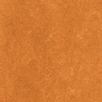 121-174 physalis orange